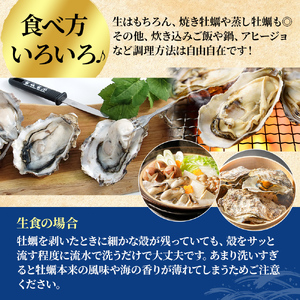 北海道厚岸産　殻付き＋ムキ身の牡蠣セット（生食用） 北海道 牡蠣 カキ かき 生食 生食用 むき身 むき牡蠣 殻付 ミルク 食べ比べ 魚貝類 生牡蠣 シーフード マルえもん