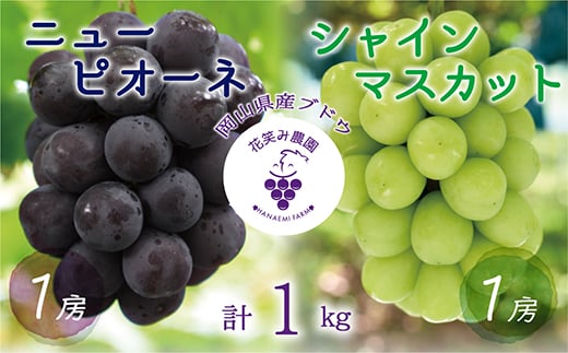 岡山　花笑み農園の『ニューピオーネ&シャインマスカット』1kg(2房)PS-1【1650714】