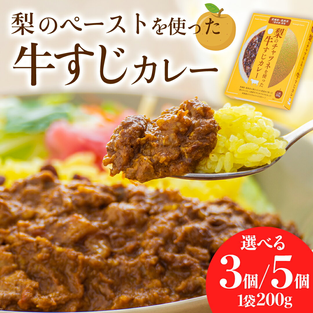 【ふるさと納税】梨 の チャツネ（ペースト） を使った 牛すじ カレー（ 選べる内容量 ）レトルト 常温保存 備蓄 非常食 牛すじカレー コク 旨味 中辛 オリジナル グッズ 筑西市 限定 梨 なしカレー