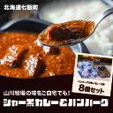 【ふるさと納税】山川牧場育ちのジャー黒カレー&ハンバーグBセット（計8個） お手軽おかず 山川牧場 ジャー黒 ジャージー牛 黒毛和牛 希少 ハンバーグ カレー レトルト おかず 手軽 NAN002