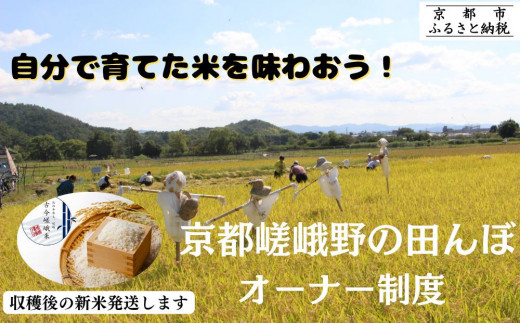 《京都嵯峨野》田んぼオーナー制度【アドプランツコーポレーション】［ 京都 米 収穫 稲刈り体験 田植え 体験 人気 おすすめ 嵯峨野 有機栽培 ふるさと納税 ］