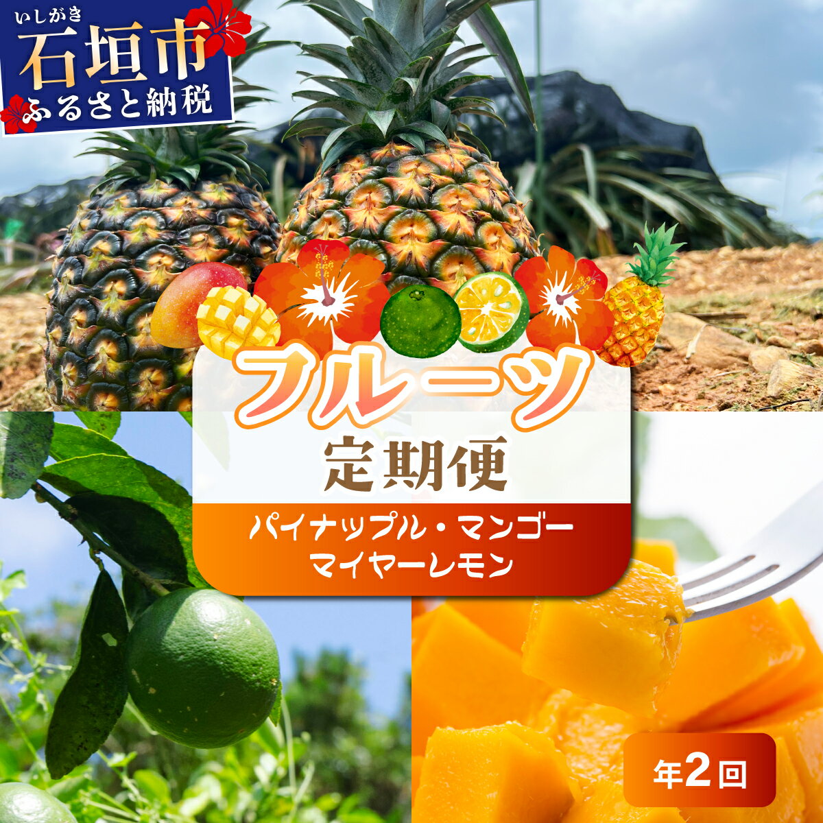 【ふるさと納税】＜選べる内容＞【定期便】よくばり定期便（ホワイトココ、マイヤーレモン、マンゴー）年2回 | マンゴー パイン パイナップル レモン ホワイトココ マイヤーレモン フルーツ トロピカル ふるさと納税 ふるさと 沖縄県 沖縄 石垣 石垣島 石垣市 人気