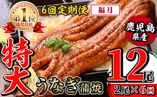 i1173-B ＜定期便・計6回(隔月)＞＼特大サイズ／鹿児島県産 うなぎ蒲焼 2尾セット ＜（約220g×2・計約440g）×全6回＞ 定期便 たれ 山椒付きうなぎ 鰻 ウナギ 特大 特大サイズ 約