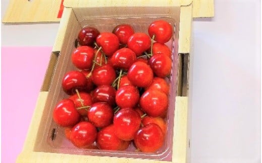 さくらんぼ（紅秀峰）５００ｇ　Ｌ～３Ｌ　0108-2601