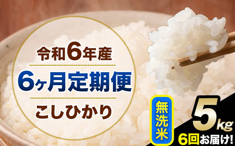 【6ヶ月定期便】新米 令和7年産 定期便 こしひかり 無洗米 定期便 5kg 精米 熊本県産(南阿蘇村産含む) 単一原料米 南阿蘇村《11月から出荷開始》---kh7tei_75000_5kg_nov6_mna_m---