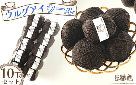 毛糸 あみもねっとウルグアイウール天然色 【5番色10玉セット】 ／ 毛糸 ウール100 編み物 天然色 ナチュラルカラー 手編み 棒針 かぎ針 軽い 柔らかい ふっくら 編みやすい セーター マフラー 手作り ハンドメイド 冬支度 愛知県 No.374