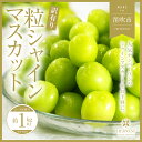 【ふるさと納税】＜25年発送先行予約＞山梨県笛吹市産　シャインマスカット訳有粒　1kg以上 ふるさと納税 シャインマスカット 笛吹市 国産 人気 期間限定 ぶどう ブドウ 葡萄 訳あり 旬 果物 フルーツ 山梨県 送料無料 105-018