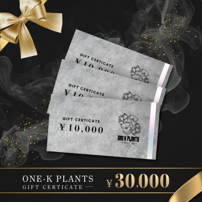 ONE−K PLANTS − ギフト券 − 30,000円【1602891】