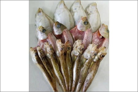 ひもの／冷蔵　京都・間人港 瞬冷ひもの Bセット（4人用）ひものセット・ひもの詰め合わせ・干物セット・干物詰め合わせ