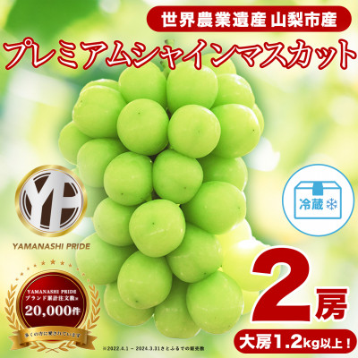 2026年度先行予約 フルーツ王国山梨 シャインマスカット 2房 (1.2kg以上) プレミアム【配送不可地域：離島】