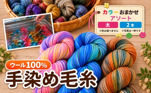 毛糸 ウール100％ 手染め毛糸 アソート 詰合わせ (太) 2本 ｜  毛糸 ウール ウール100％ 手染め 裁縫 手芸 長野県 松川村 信州