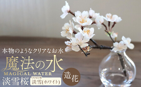 新春　淡雪桜　さくら　魔法の水　マジカルウォーター『淡雪』