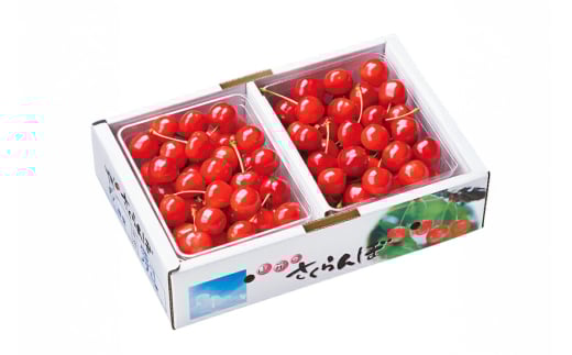 【期間限定発送】 さくらんぼ 置賜産 佐藤錦 特秀 L～2L バラ詰 1kg [JA山形おきたま 山形県 高畠町 tk06ays870006] サクランボ チェリー 山形 果物 フルーツ くだもの