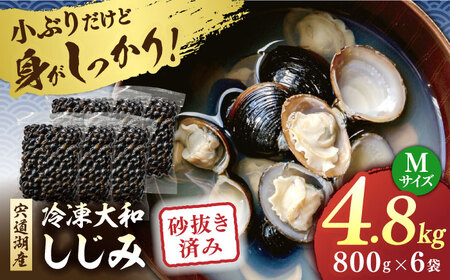しじみ 砂抜き済 Mサイズ800g×6袋(4.8kg) 島根県松江市/しじみ市場株式会社[ALDK001] しじみ しじみ しじみ しじみ 冷凍 冷凍 冷凍 冷凍 冷凍