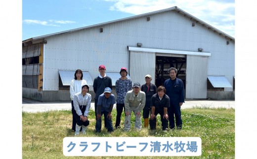 【定期便6か月】近江牛メガ盛り切り落とし1kg