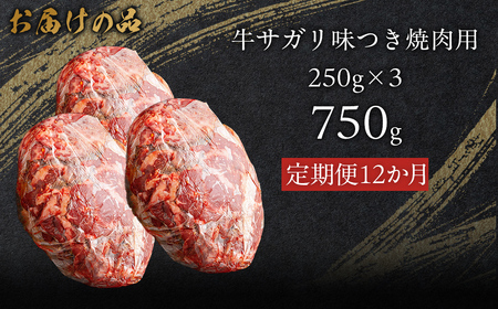 【12か月定期便】牛サガリ味つき焼肉用 750g (250g×3) MROBM031