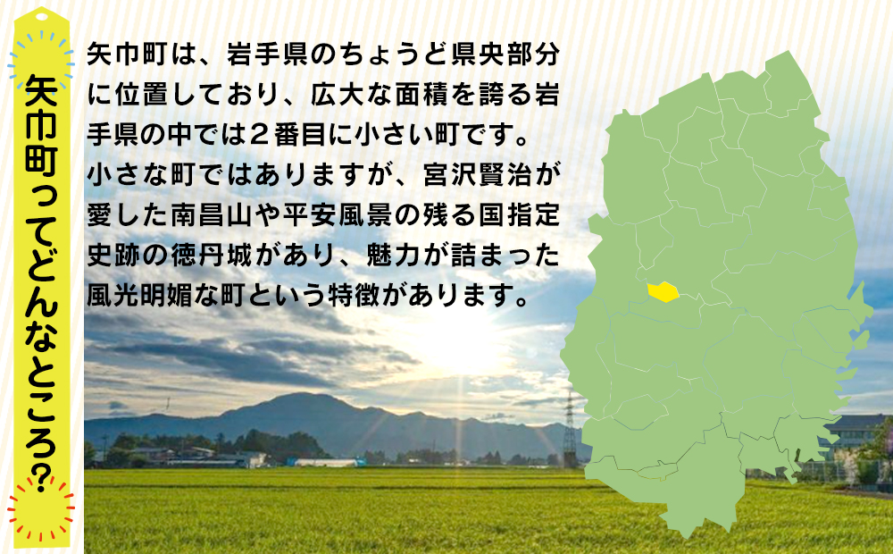 岩手県矢巾町（やはばちょう）応援寄附金（※返礼品なし）100,000円