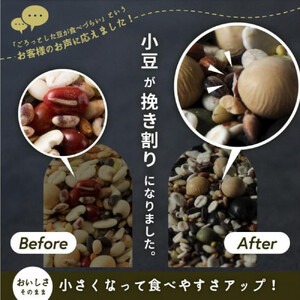美容重視ビューティーブレンド 8kg(400g×20袋)