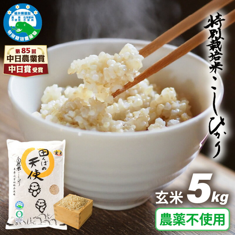 【ふるさと納税】【中日賞受賞】【令和7年産】農薬不使用 特別栽培米コシヒカリ5kg【玄米】福井県認証区分1取得「田んぼの天使」越前町【5キロ お米 コメ 農薬化学肥料不使用 送料無料】