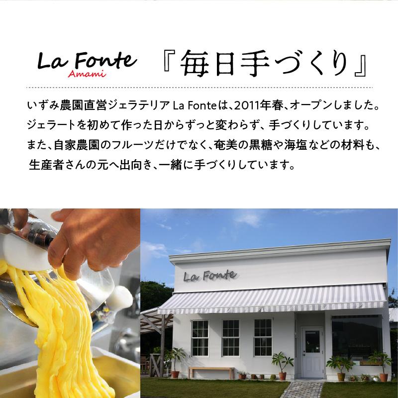 【La Fonte】手づくりジェラート奄美12個セット