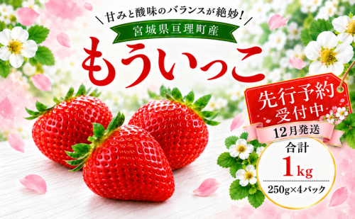 いちご イチゴ 苺 先行予約 12月発送 家庭用 もういっこ 宮城県亘理町産 1000g 250g×4パック 小分け 冷蔵配送 国産 フルーツ 返礼品