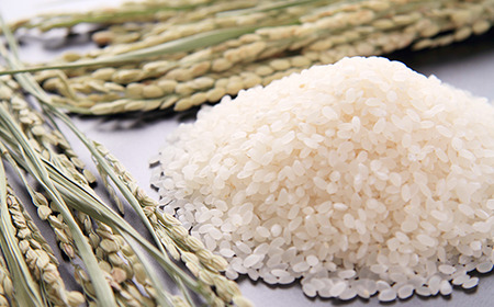 73-6N021新潟県長岡産コシヒカリ2kg