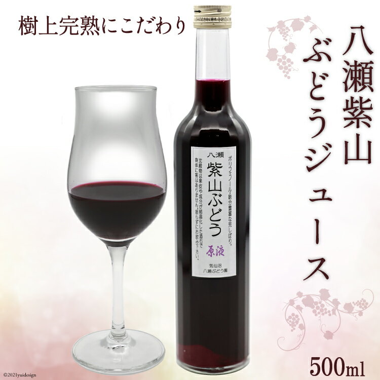 【ふるさと納税】樹上完熟にこだわり 八瀬紫山 ぶどうジュース 500ml [八瀬ぶどう園 宮城県 気仙沼市 20563885] ブドウ 葡萄 100％ ジュース
