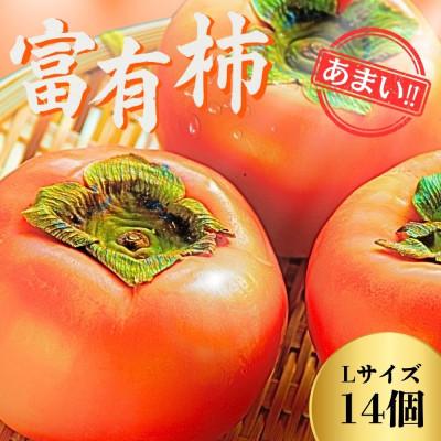 ふるさと納税 大野町 甘くておいしい岐阜の柿【富有柿】 L×14個 秀品 岐阜県 大野町(2025年11月下旬〜発送)