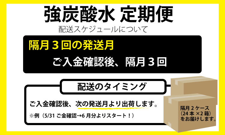 【定期便】（隔月）3回定期便 強炭酸水（500ml）2ケース（計48本） 水・ミネラルウォーター