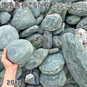 庭石   伊予青石 ごろた石（150～250mm） 1袋（約20kg）ゴロタ石 自然石 川石