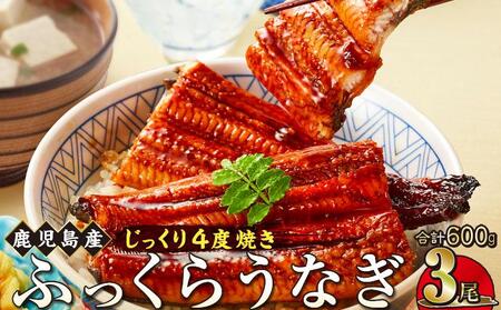 うなぎ 蒲焼 200g×3尾【鹿児島産】地下水で育てた絶品鰻｜うなぎ