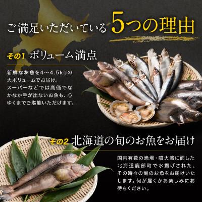 ふるさと納税 鹿部町 【訳あり】 北海道鹿部町の漁師応援プロジェクト!冷凍鮮魚セット 約4〜4.5kg SM15-2S |  | 01