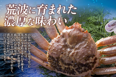 【先行予約】【ボイル松葉がに1.1㎏ かにの身入りかにみそ 三杯酢付 冷蔵】令和７年11月中旬以降順次配送予定 松葉 かに 蟹 カニ かにみそ香住 新鮮 国産 鍋 かにすき 脚 足 爪 身 肩 大人気