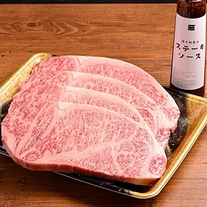 【定期便6回】【数量限定】おおいた和牛 A5等級 和牛サーロイン&ヒレステーキ 定期便 6回コース 毎月届く ソース付き | お肉 肉 おにく にく 牛 牛肉 和牛 サーロイン ヒレステーキ ヒレ ス