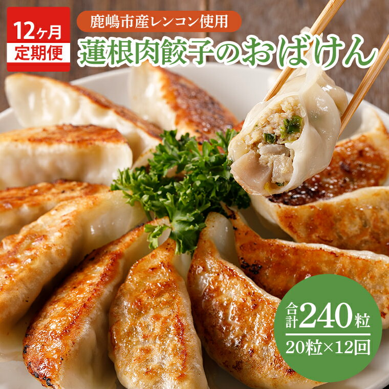 【ふるさと納税】＼先行予約／【12ヶ月定期便】蓮根肉餃子のおばけん【20粒×12回】【野菜 ギョーザ れんこん しゃきしゃき おいしい ストック 茨城県 鹿嶋市】（KBU-30）