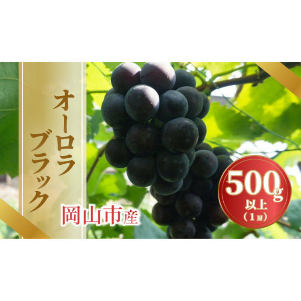 【ふるさと納税】【内容量が選べる】《2026年発送》岡山市産オーロラブラック 1房500g以上又は2～3房1kg以上
