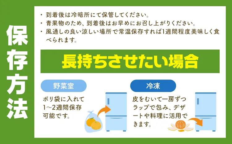 【3か月定期便】 先行予約 赤秀 みかん 旬 柑橘 蜜柑 鶴田農園 約5㎏×3回 《11月上旬-1月下旬頃出荷》極早生 早生 中生 晩生 フルーツ 果物 秋 旬 熊本県 荒尾市産 贈答 ギフト オレン