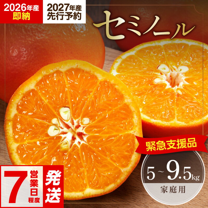【ふるさと納税】【緊急支援品】ミカファーム 訳あり オレンジ セミノール 5kg 9.5kg 家庭用 【今だけ配送年が選べる】即納：7営業日以内発送／予約：2027年春発送 │ 果物 フルーツ 柑橘 みかん オレンジ セミノール 訳あり 家庭用 春 旬