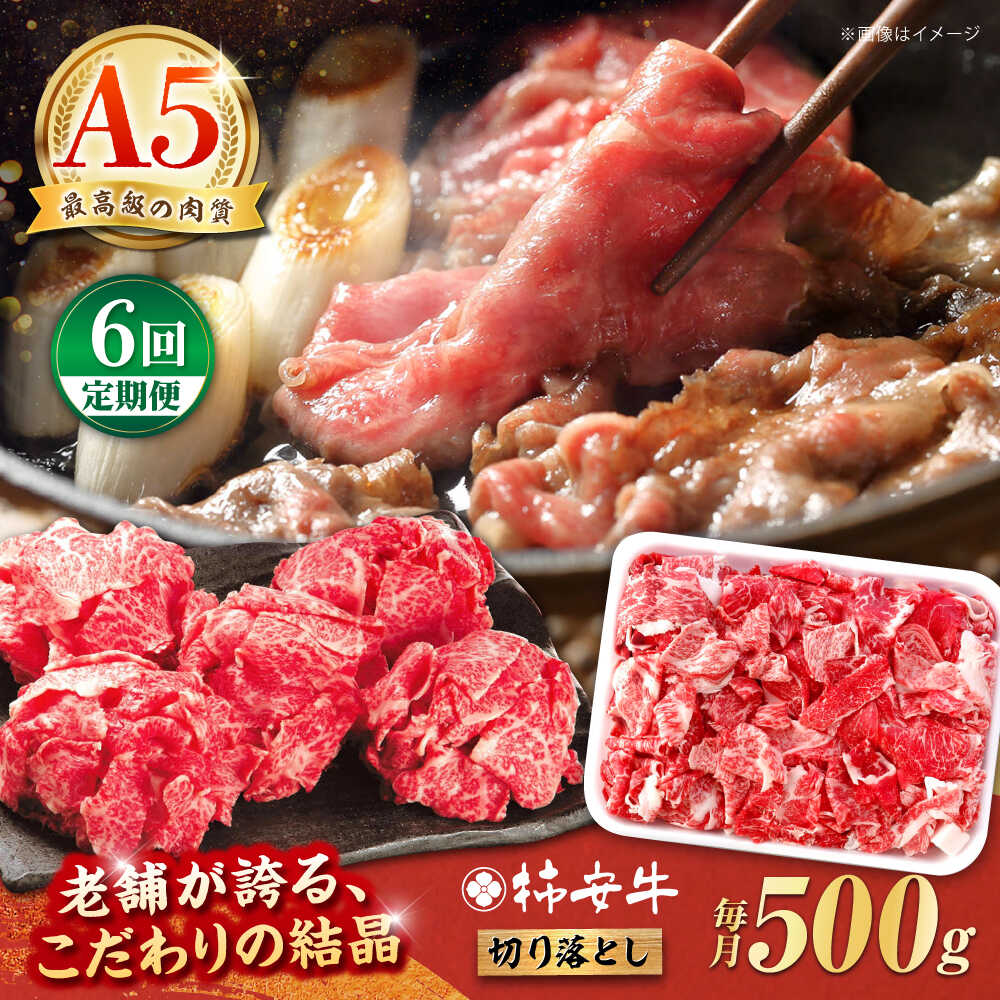 【ふるさと納税】【6回定期便】最高級A5等級 三重県産 黒毛和牛 柿安牛 切り落とし 500g / 牛肉 切り落とし 小間切れ こまぎれ 和牛 国産牛 ブランド牛 すき焼き 定期便 切り落とし肉 A5 冷蔵 赤身 霜降り 国産 牛丼 冷蔵 送料無料 / 亀山市 / 柿安本店 [AMBW010]