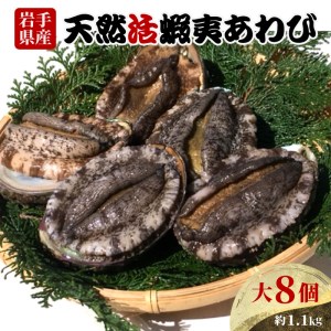 あわび 大サイズ 8個 約1.1kg 冷蔵 鮑 蝦夷あわび 活あわび  あわび アワビ 鮑 Abalone ステーキ  バターソテー 正月 お正月 おせち 刺し身 刺身 バーベキュー BBQ ごはん 夕飯 おかず おつまみ 晩酌 米 丼 海産物 海鮮 魚介 魚介類 贈答品 お中元 お歳暮 大船渡 三陸 岩手県 国産