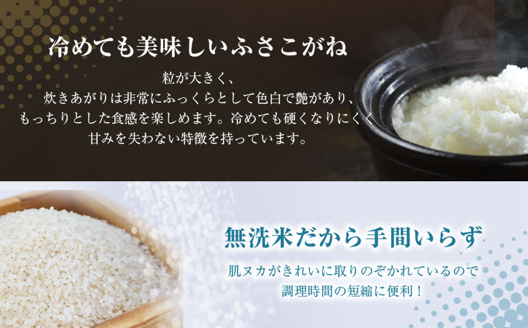【先行予約 9月上旬から発送】＜令和8年産＞≪12ヶ月定期便≫房の黄金米「ふさこがね」10kg × 12回 計120kg   SMBR024