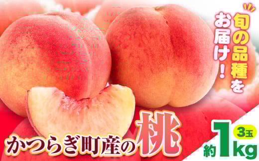 桃 かつらぎ町産 約 1kg 道の駅 くしがきの里《2025年6月上旬-8月中旬頃出荷》 和歌山県 日高町 果物 フルーツ 桃 もも モモ 旬