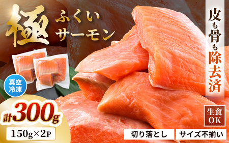 【先行予約】 【訳あり】 ふくいサーモン切り落とし (生食用) 150g × 2パック 合計300g 皮剝ぎ・骨抜き加工済 サイズ不揃い 真空冷凍 【2025年8月上旬以降順次発送】 【サーモン 鮭 しゃけ 切り落とし 生食可 焼き サラダ 鮮度 水産加工品 海産 魚介類 冷凍】 [A-6234]