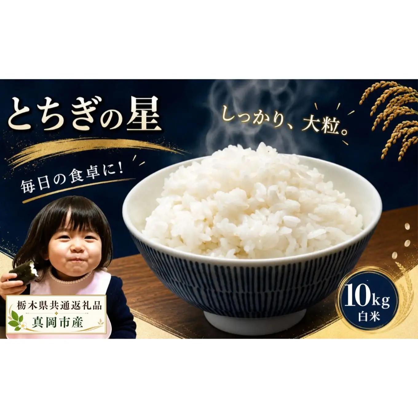 お米 令和8年産 とちぎの星 白米 10kg【2026年産】 | 栃木県共通返礼品 真岡市産
