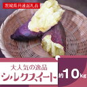 【ふるさと納税】【11月発送】上品な甘みさつまいも シルクスイート10kg（茨城県共通返礼品・行方市産）(AK104)