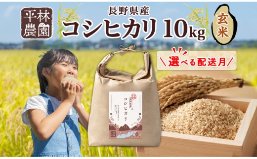 
                  【選べる配送月】令和8年産 コシヒカリ 玄米 10kg×1袋 長野県産 米 お米 ごはん ライス 低GI 甘み 農家直送 産直 信州 人気 ギフト お取り寄せ 平林農園 送料無料 長野県 大町市
                