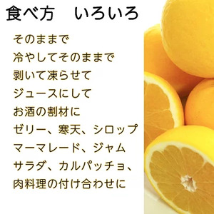 【訳あり】 河内晩柑 （愛南ゴールド）5kg 木取り完熟 樹齢25年 吉本農園 柑橘 みかん 愛南ゴールド 蜜柑 グレープフルーツ ゼリー ジュース アイス 果物 フルーツ サイズミックス 規格外 愛