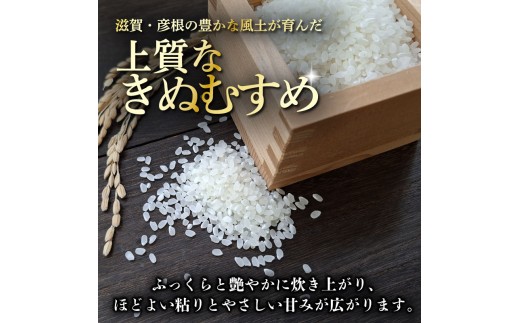 令和8年産 きぬむすめ 白米 10kg ひこにゃん米 米 コメ お米 10キロ 米10kg ご飯 ごはん キヌムスメ おにぎり お弁当 滋賀 彦根