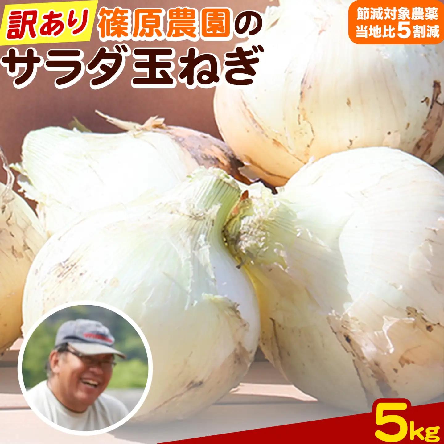玉ねぎ 訳あり 節減対象農薬 当地比5割減 サラダ玉ねぎ (S-2Lサイズ) 5kg《3月下旬-4月下旬頃出荷予定》熊本県 葦北郡 津奈木町 篠原農園 野菜 たまねぎ 自然栽培