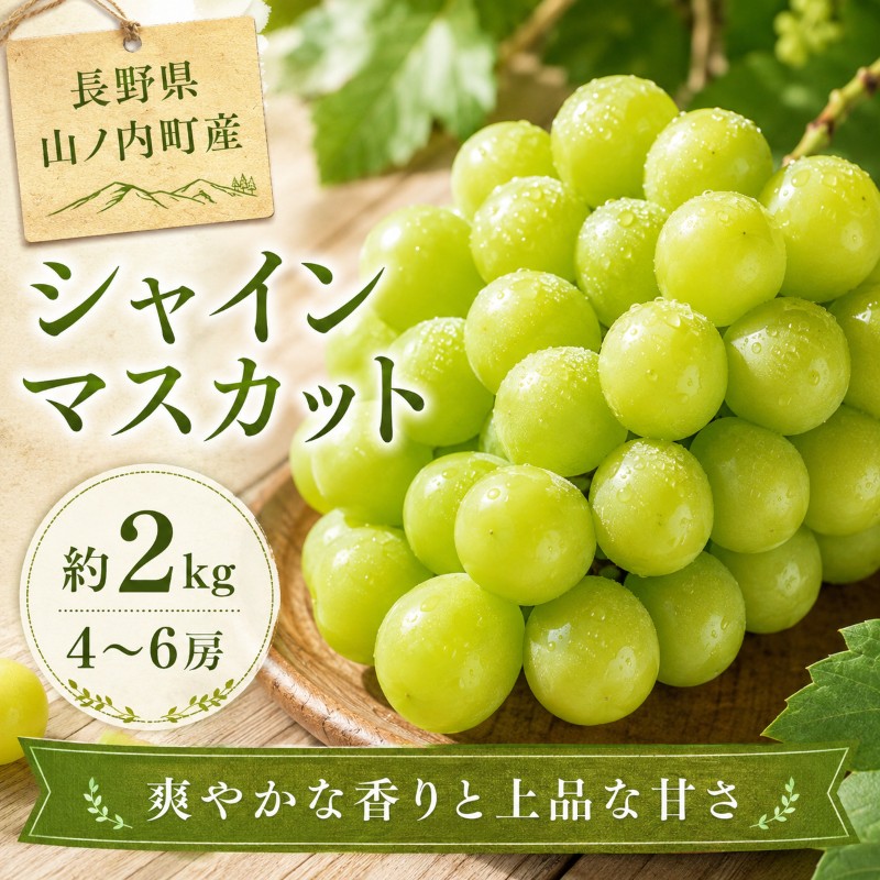 【2026年9月～発送】シャインマスカット約2kg 4～6房 長野県産